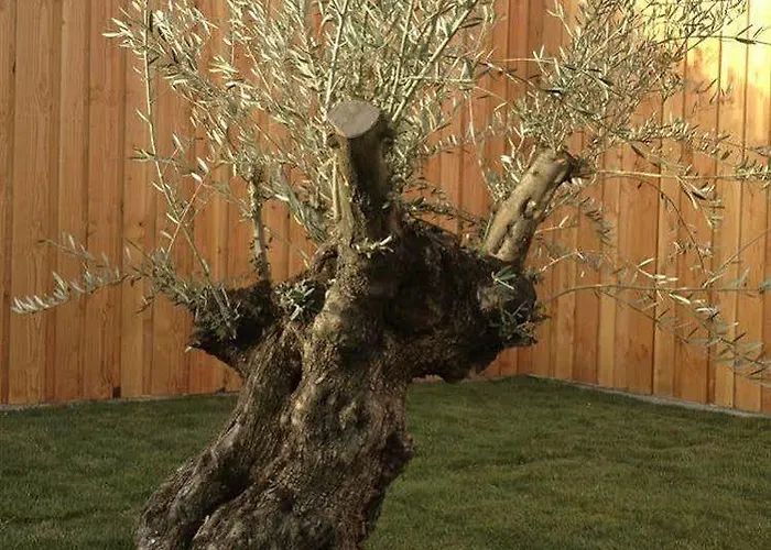 Отель En Provence - Ecogites & Restaurant Insolites