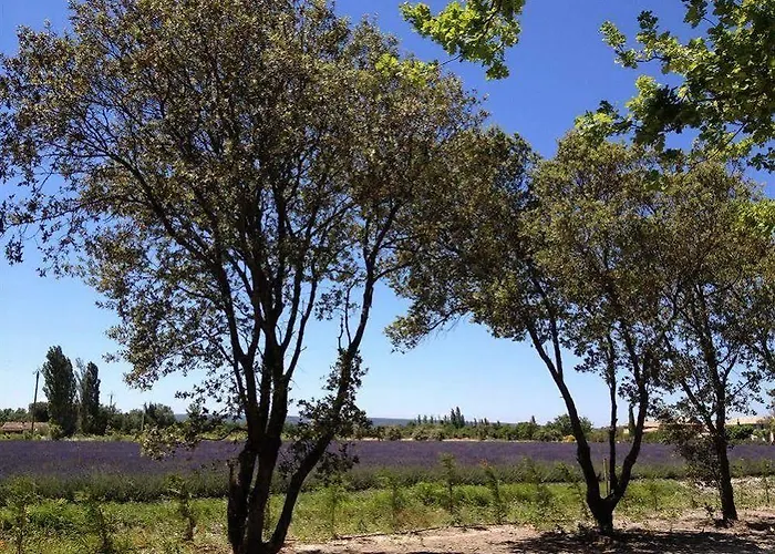 En Provence - Ecogites & Restaurant Insolites Отель Richerenches