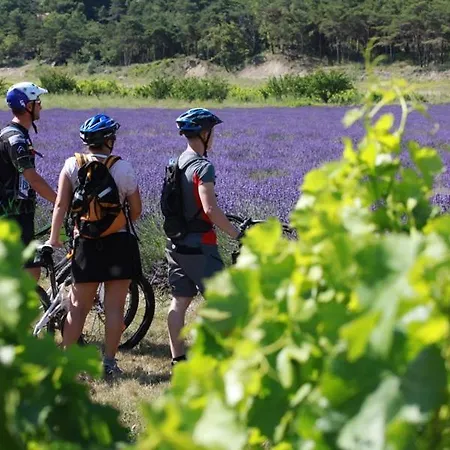 En Provence - Ecogites & Restaurant Insolites Hotel 5*