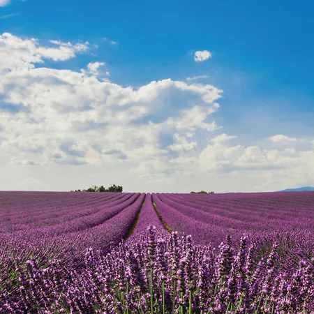 En Provence - Ecogites & Restaurant Insolites Hotel 5*