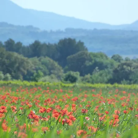 Hotel En Provence - Ecogites & Restaurant Insolites Richerenches