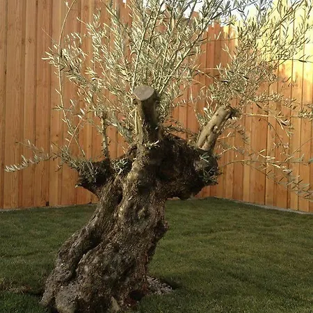 ホテル En Provence - Ecogites & Restaurant Insolites