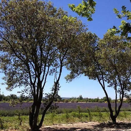 En Provence - Ecogites & Restaurant Insolites Hotel Richerenches
