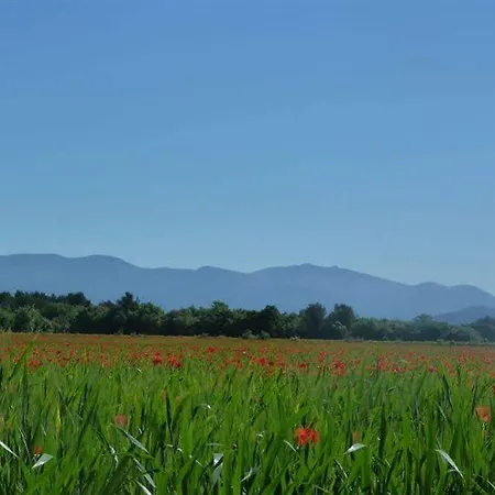 En Provence - Ecogites & Restaurant Insolites ホテル